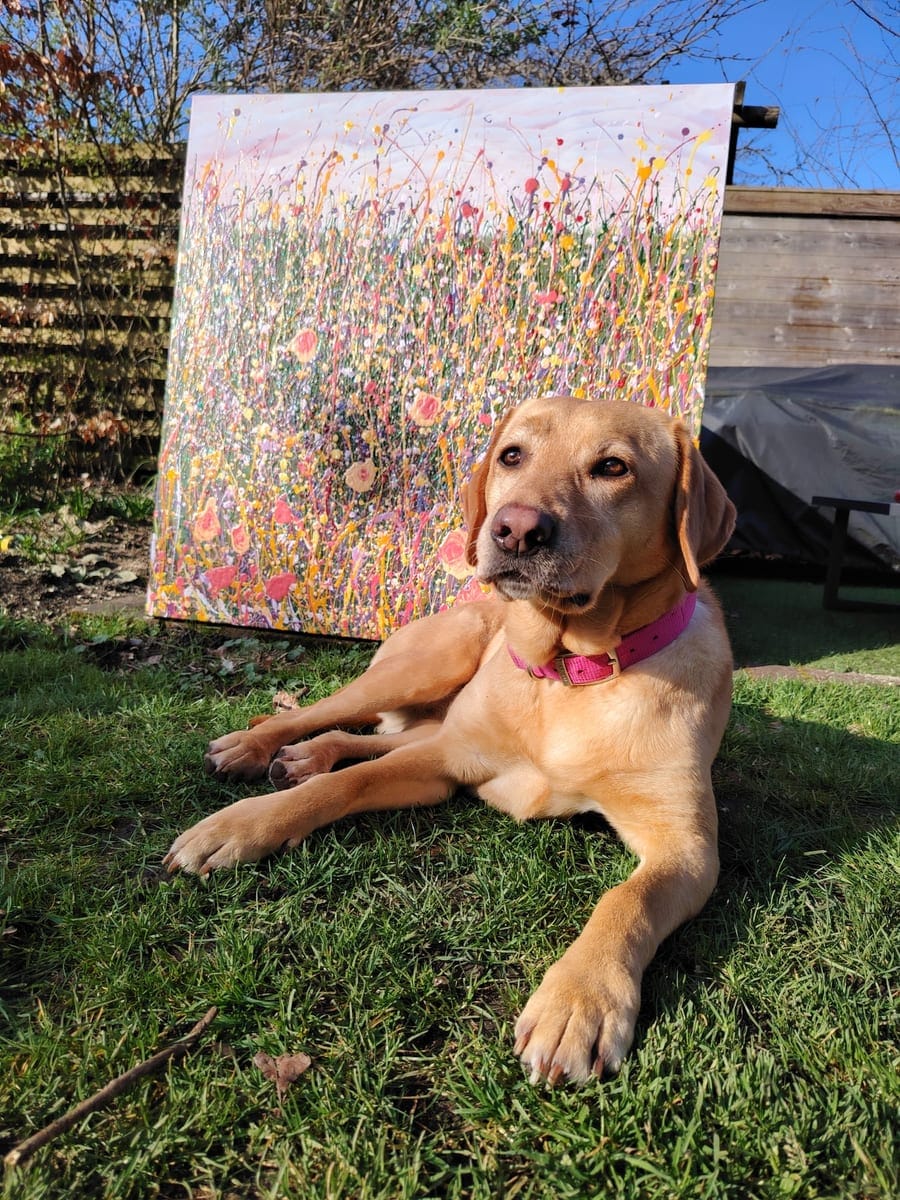 Lana Evans's dog relaxing in the garden in front of a work-in-progress wildflower painting